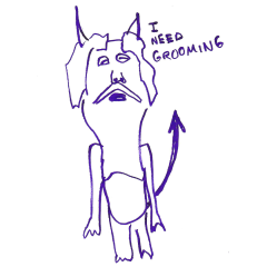 i-need-grooming