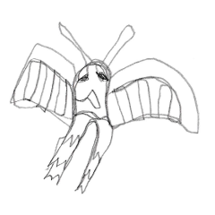 moth