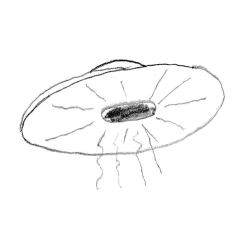 nope-flying-saucer