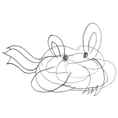 squiggle